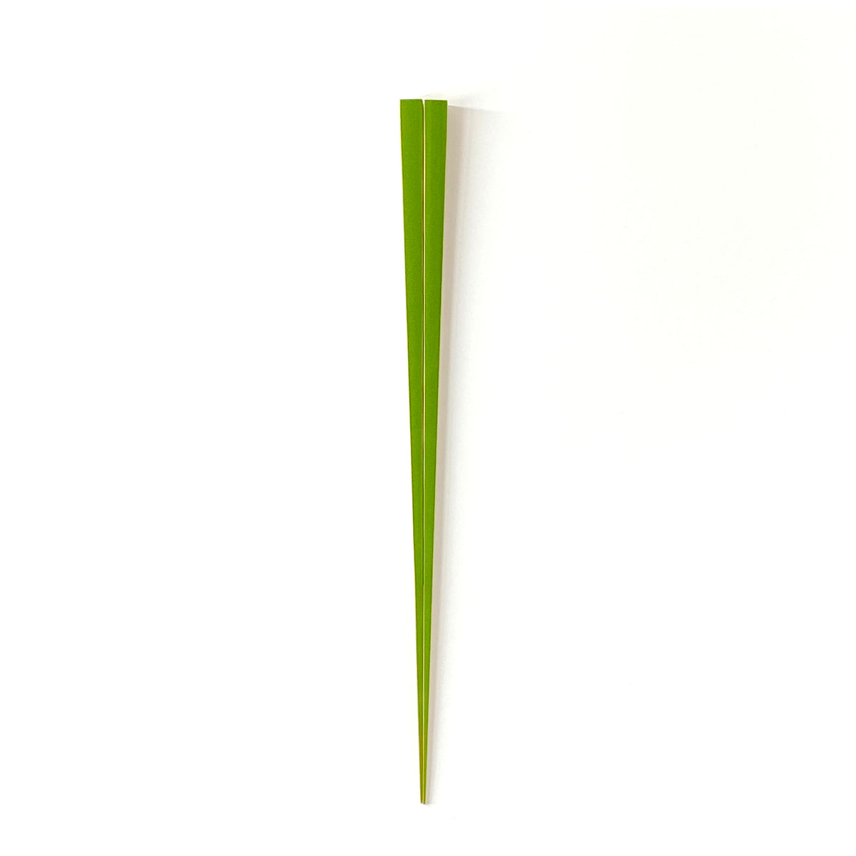 富士竹祝箸（極細） 若竹色